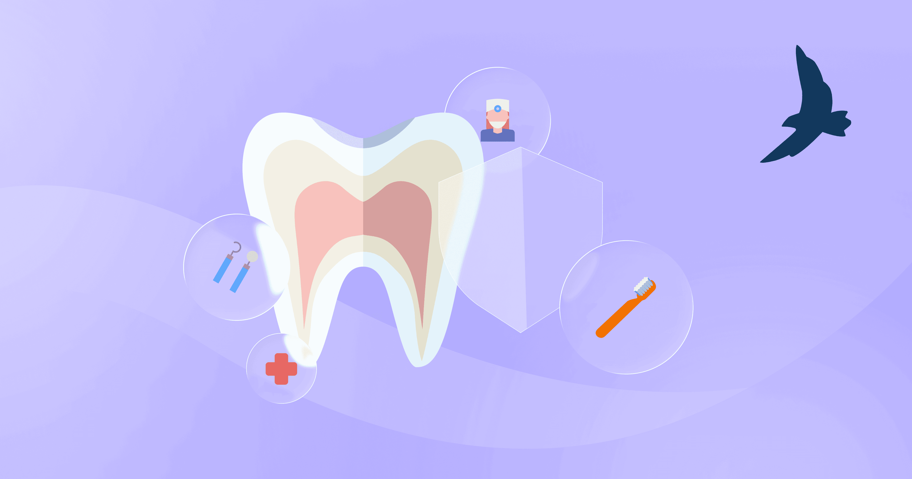 Seguro dental en Perú: Beneficios, cobertura y costos | Azeggu