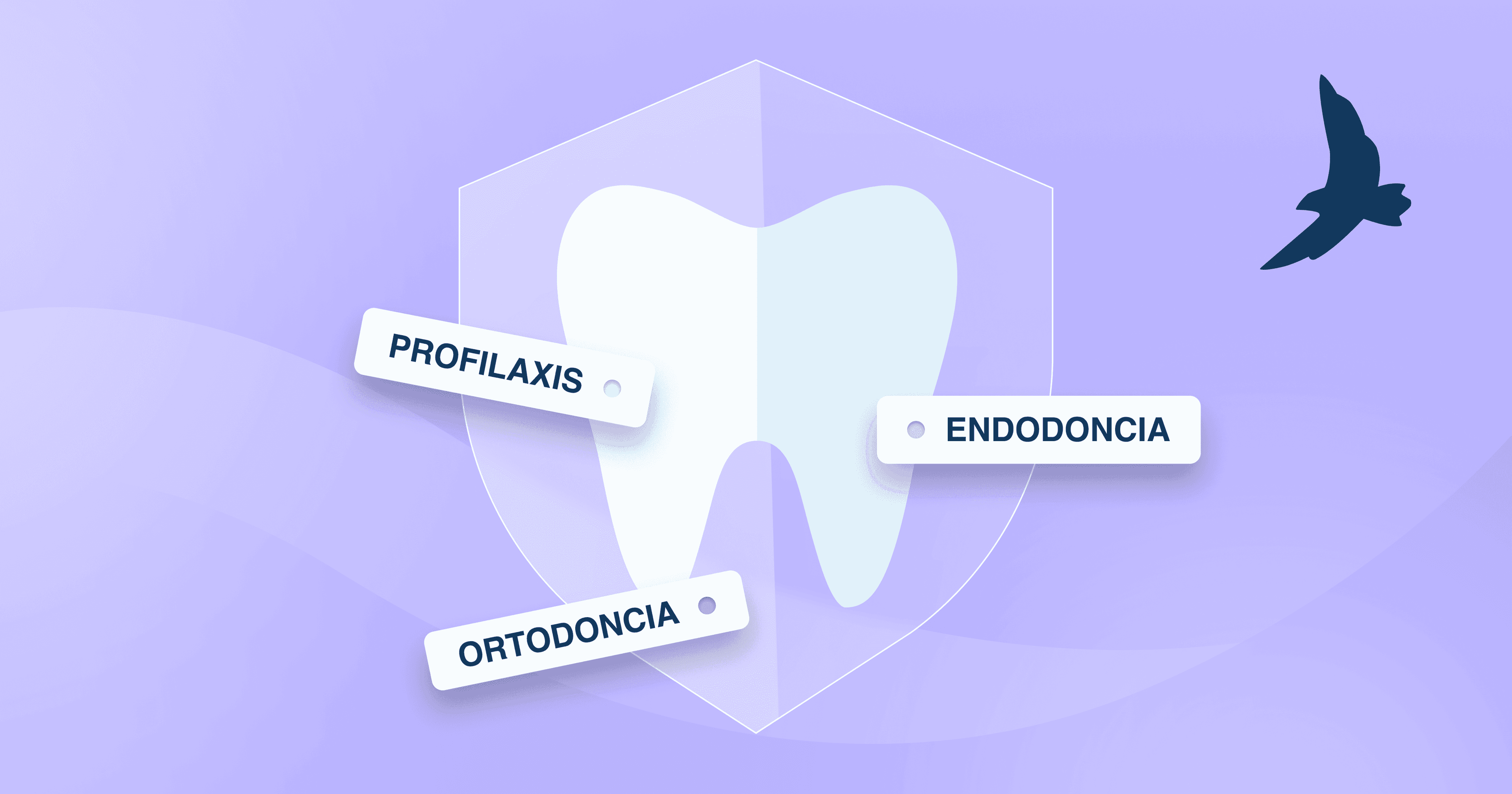 Planes dentales: cobertura y precios 2025